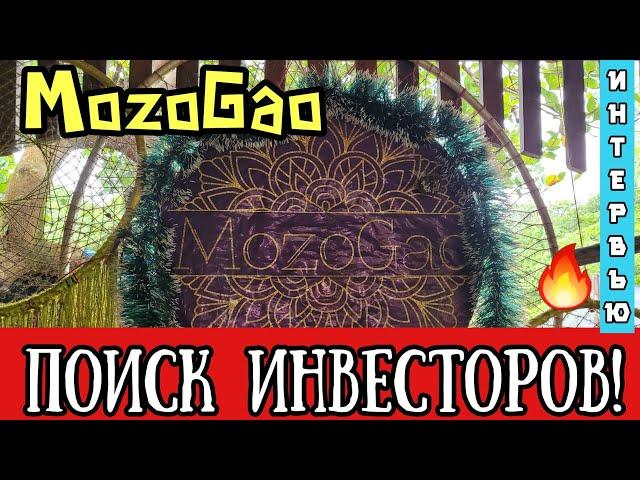 MozoGao. ПРИВЛЕКАЕМ ИНВЕСТОРОВ. Бизнес в Гоа, Интервью. #goa #india #Mandrem #mozogao #индия #гоа