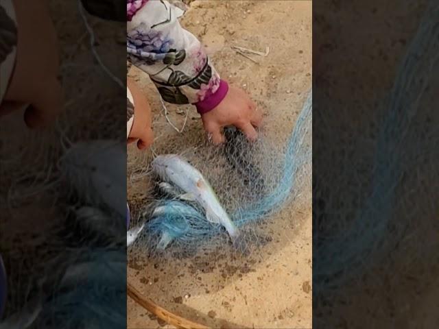 Real Life Fishing, Man Dip Net Fishing Under Dam [part 326]#fishing #fish #reallife