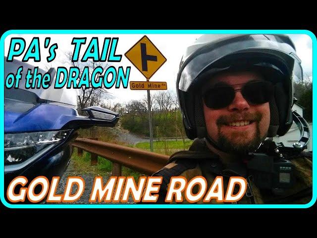 Road Spotlight: Gold Mine Road - PA's Tail of the Dragon!