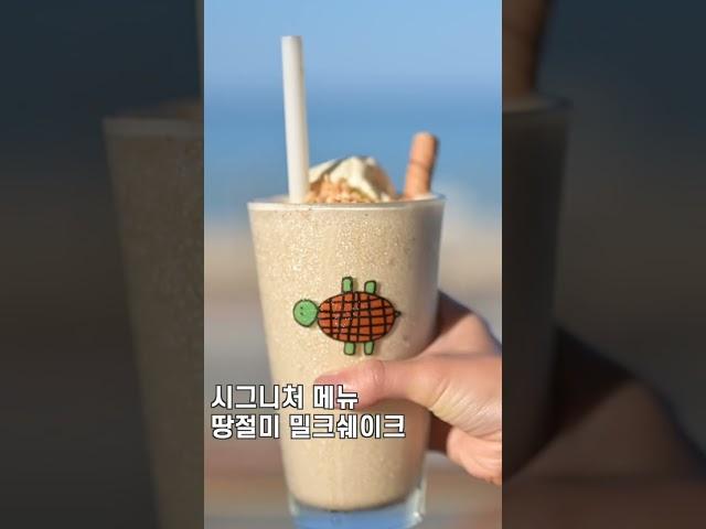 양양️ | 애견동반 카페 TOP3 ! 낭만이란 배를 타고~