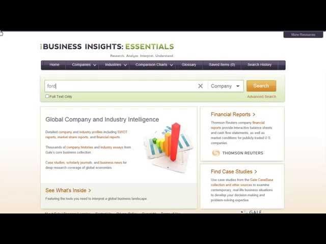 Business Insights: Essentials - Basics