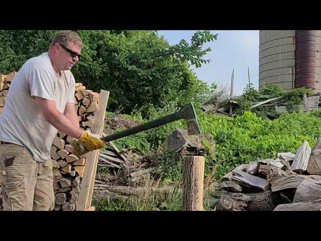 Splitting Seasoned VS. Green Ash Firewood