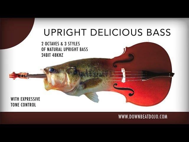 Upright Delicious Bass Kit! [Demo]