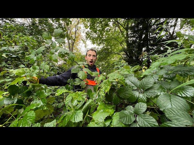 This OVERGROWN Yard Never Ends! Free Garden Makeover for a Single Mother