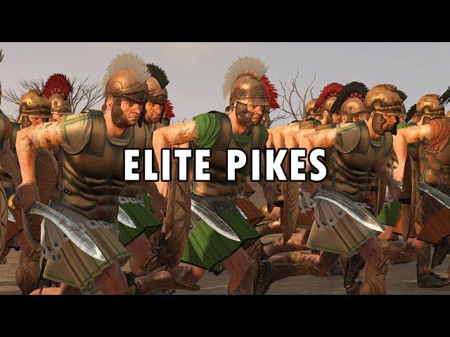 Elite Pikes - Multiplayer Battle - Total War Rome 2