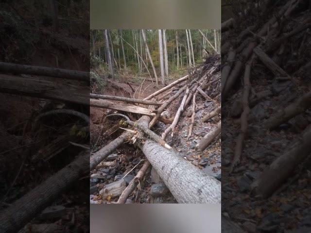 Landslides of Hurricane Helene North Carolina Yancey County Toe River Valley