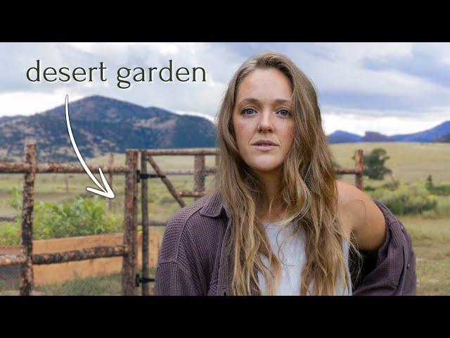 I'm Leaving // DIY Off-Grid Irrigation for my DESERT GARDEN