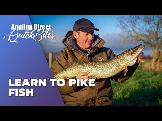 Learn To Pike Fish - Predator Fishing Quickbite