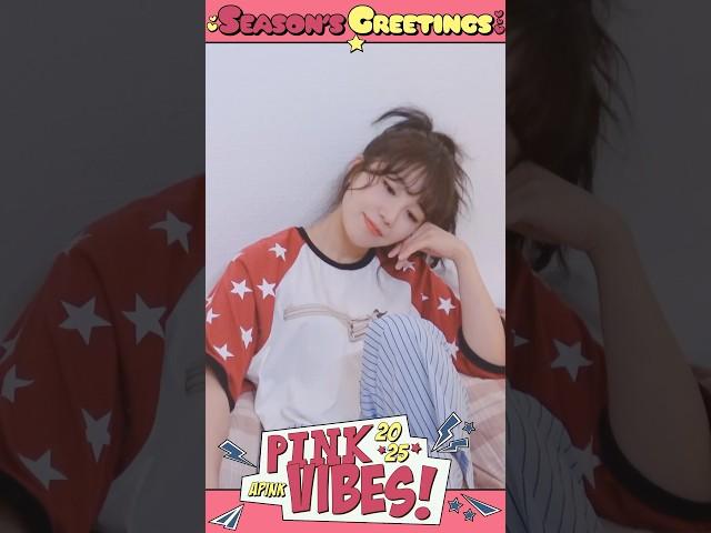 2025 Apink Season’s Greetings #은지 #PinkVibes