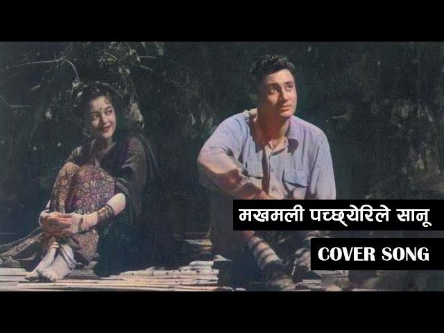 Makhamali Pachheuri Le Sanu - Lyrical Cover Song By Sahil Limbu