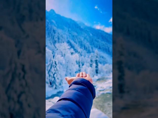 Kashmir Snowfall video | #travel #kashmirvalley #shorts #bollywood #love #song #snowfall