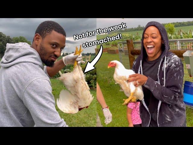 Spend The Week With Us! || Processing Meat Birds, Harvesting Wild Raspberry and More!