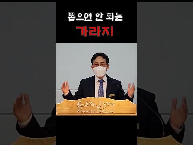 우리는 가라지를 뽑는 자가 아닙니다 #천국비유 #알곡과 가라지 비유 #곡식 #알곡 #가라지