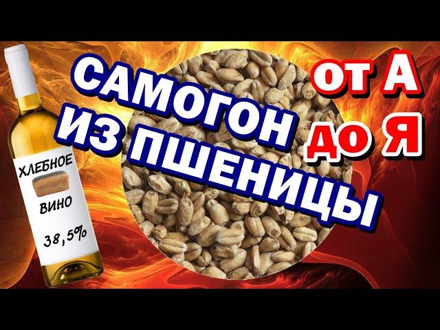 САМОГОН ИЗ ПШЕНИЦЫ от А до Я - СОЛОД + БРАГА  Отбор голов - ВКУСНЫЙ САМОГОН