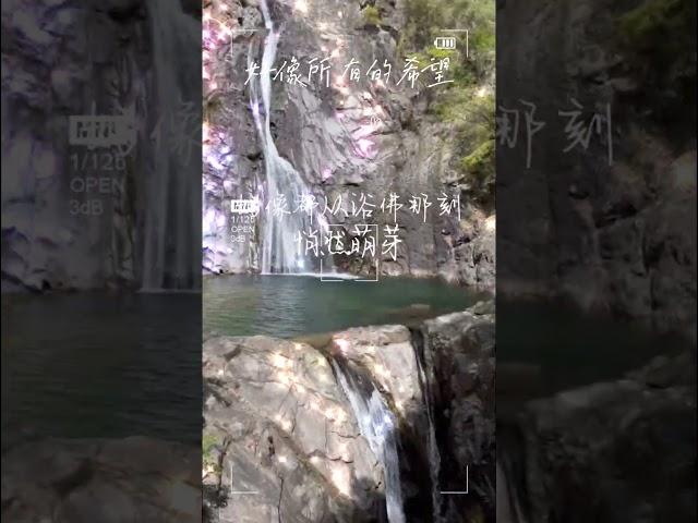 浴佛是灑水淨佛，也是在自己心田裡，輕輕灑下甘露，讓希望悄悄長出嫩芽。