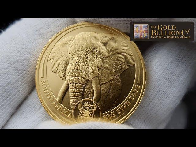 2022 1oz Big 5 Elephant Gold Coin I Buy Now