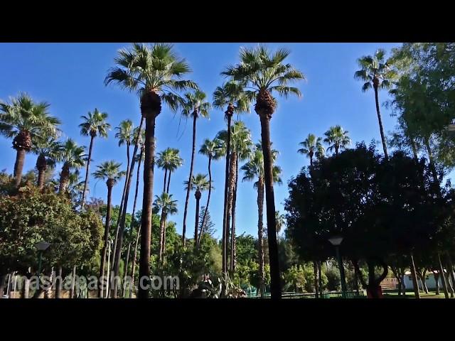 Муниципальный парк Лимассола / Limassol Municipality Garden - главный парк города.