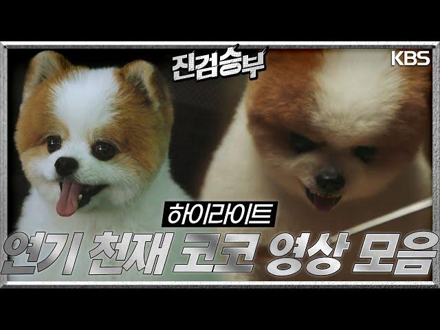 [하이라이트] 심쿵주의 연기 천재 코코 영상 모음 [진검승부] | KBS 방송