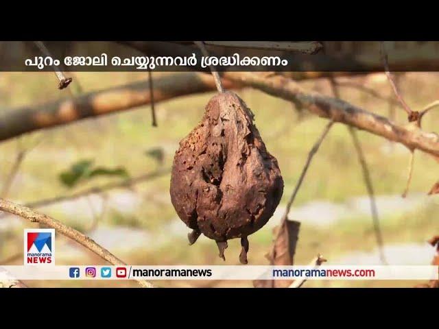 വേനല്‍ച്ചൂടില്‍ പൊള്ളി കേരളം; ജാഗ്രത വേണമെന്ന് അധികൃതര്‍ | V Sivankutty