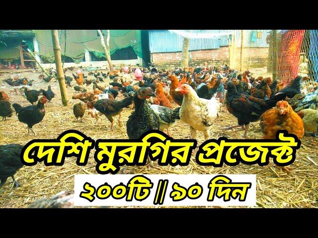 দেশি মুরগির প্রজেক্ট। চুলচেরা বিশ্লেষণ। Deshi Murgi Farm Project। Native Chicken। Desi hen farm