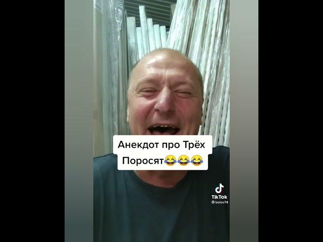Про 3 поросят! Анекдоты от Белова! ТИК ТОК! #SHORTS