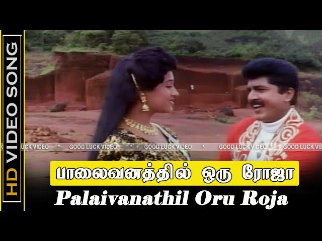 Palaivanathil Oru Roja Song | Kattabomman Movie | Sarath Kumar, Vineetha Love Songs | Deva Song | HD