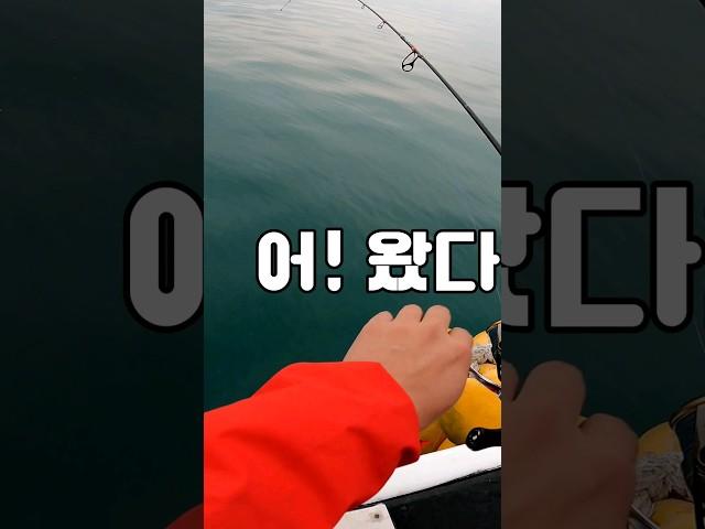 야! 사무장 빨리 물끓여!