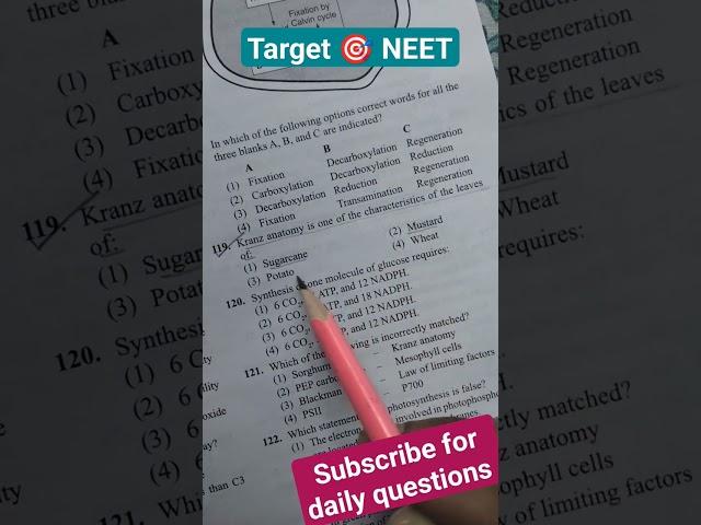 Photosynthesis in higher plants class 11| Neet PYQ series biology #neet#ncert#neetpyq #shorts#viral