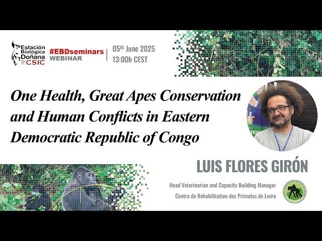EBD Seminars | Luis Flores Girón