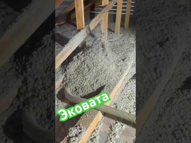 Эковата ,утепление потолка #эковата #липецкэковата #эковатамичуринск #строительство
