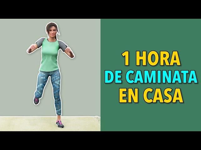 Caminar 1 Hora al Día - Camina en Casa Todos los Días