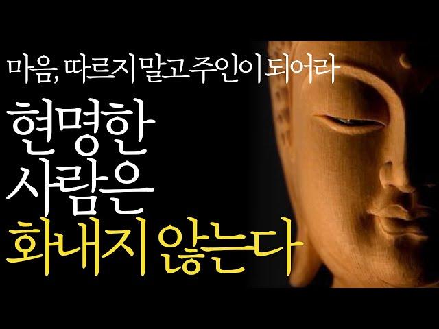 석가모니 명언 | 인생조언 | 현명한 사람은 화내지 않는다 | 현명한 사람들의 특징 | 매일 듣는 부처님 말씀| 동기부여 오디오북 낭독 노자명언 처세 삶의지혜 ASMR 수면 잠잘때