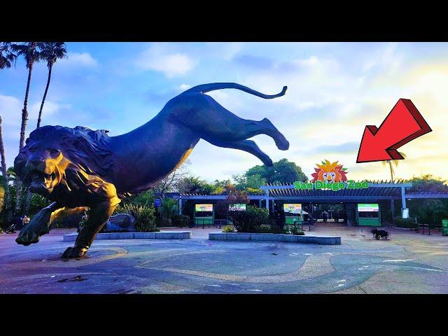 San Diego Zoo California Ultimate Full Tour 2024 - Part 1