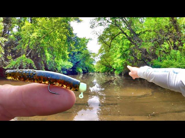 If You Want To Catch LOADS Of Panfish, Try This AMAZING Setup!