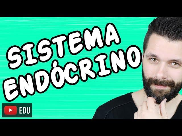 SISTEMA ENDÓCRINO - HORMÔNIOS - FISIOLOGIA - Aula | Biologia com Samuel Cunha