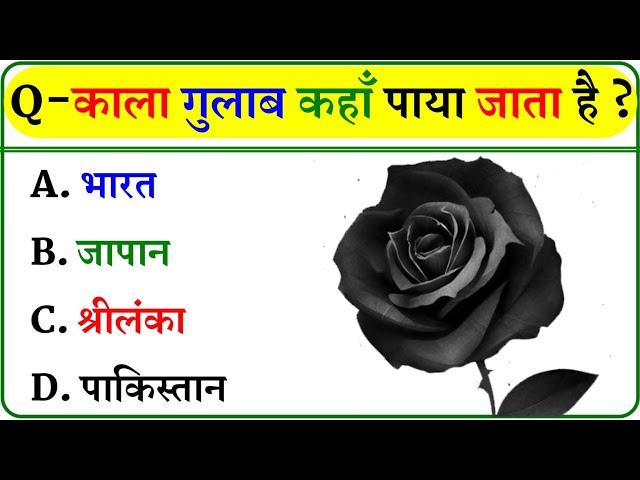 GK Question || GK In Hindi || GK Question and Answer || GK Quiz ||