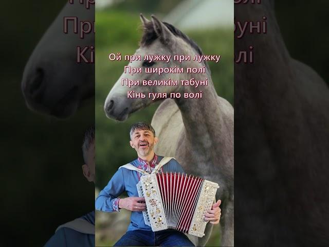 Ой при лужку при дужку #folkmusic #folk #пісніукраїнською #українськіпісні #гармонист #дмитрокива