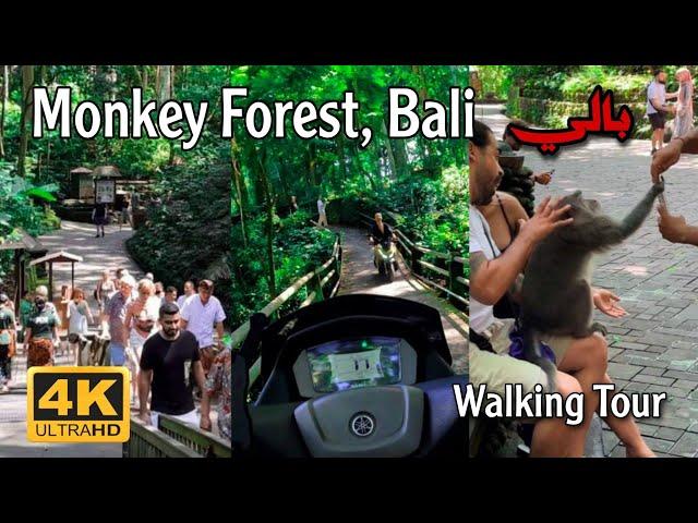 Monkey Forest, Ubud - Bali, Indonesia | Walking Tour | 4K