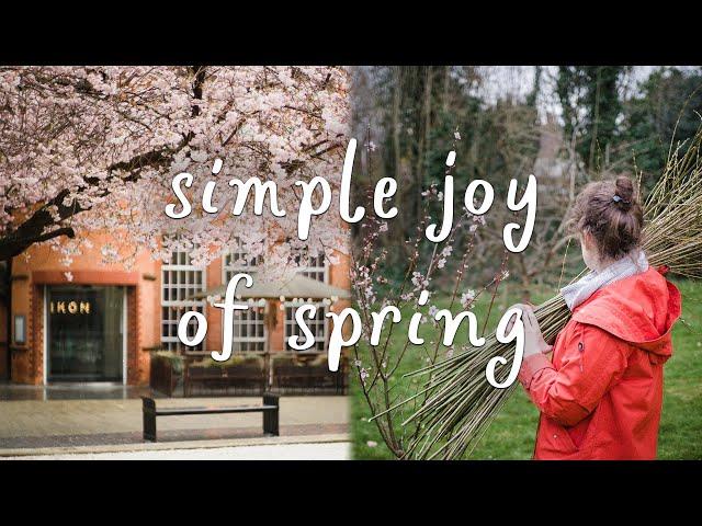 Easter Baking | Blossom Viewing | Gathering Willow | Vegan Slow Living Vlog