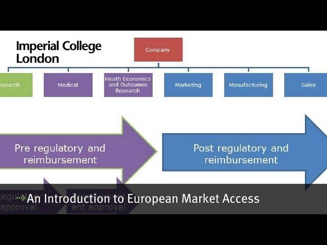 An introduction to european market access