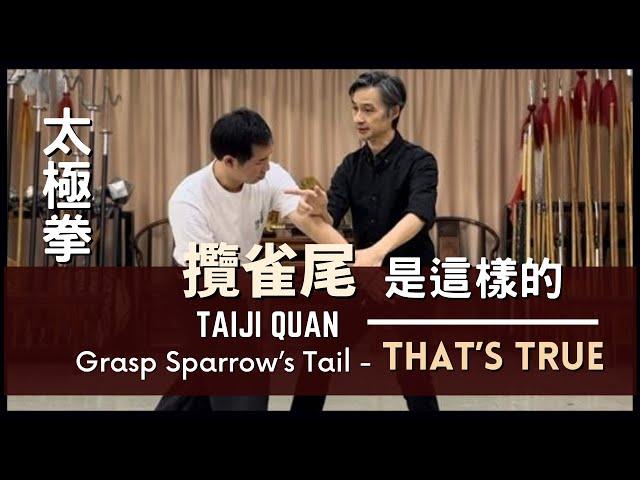 Taiji Quan Grasp Sparrow’s Tail - That’s True 太極拳 攬雀尾 是這樣的