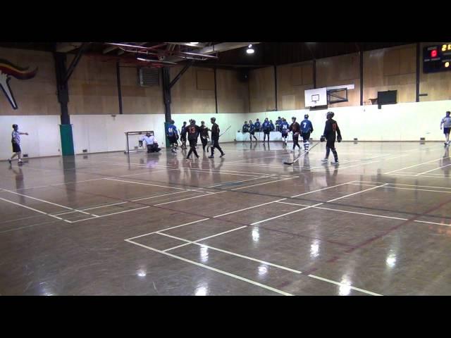 What A Goal! (Ball Hockey HD Video - Justin Matai) Ball Hockey Skills Tricks Mar, 2012