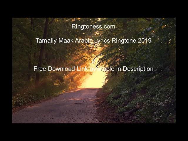 Tamally Maak Arabic Lyrics Ringtone 2019 - Arabic Ringtones - Ringtoness.com