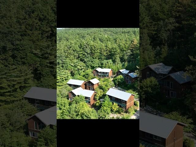 A heavenly forest cabin with 3 meals included for $29. Where is this place?