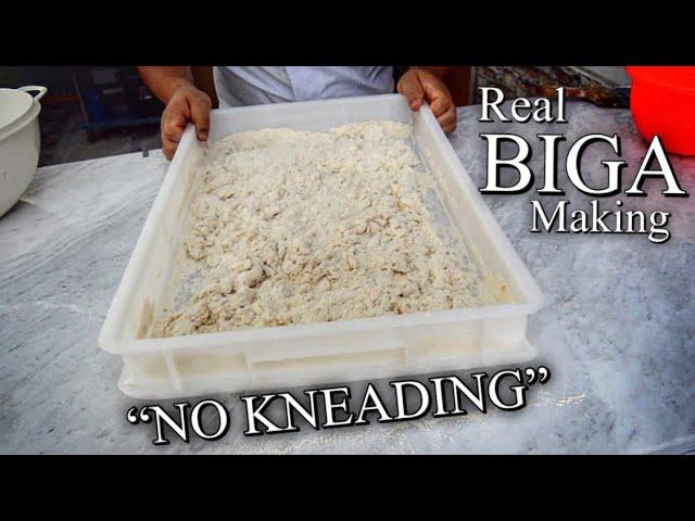 REAL METHOD HOW TO MAKE THE BIGA - NO KNEAD