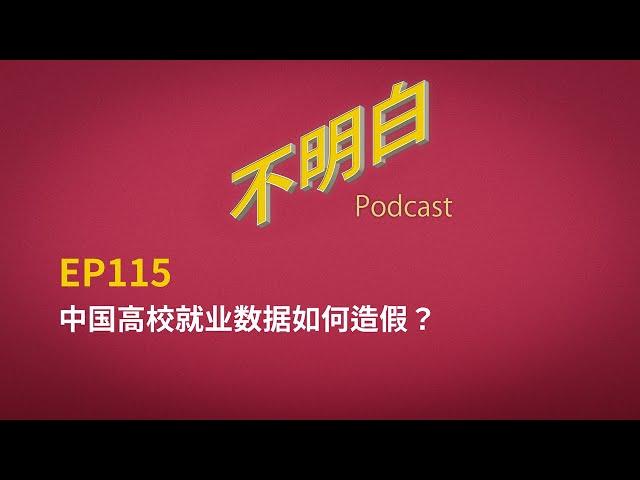 EP-115 中国高校就业数据如何造假？ | 中国经济失业率 | 就业 | 考公 | 润 | 高校 | 造假