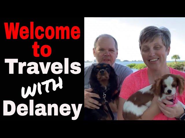 Welcome to Travels with Delaney