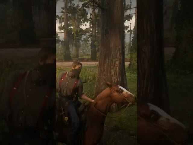 Owl Arthur Red Dead Redemption 2 #rdr2