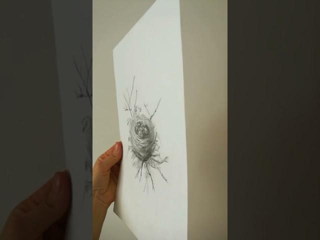 Sketch: Nest and baby birds