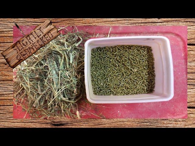 Meat Rabbit Diet, What, How Much, and When to Feed: The SR Rabbit Update for 10-4-16